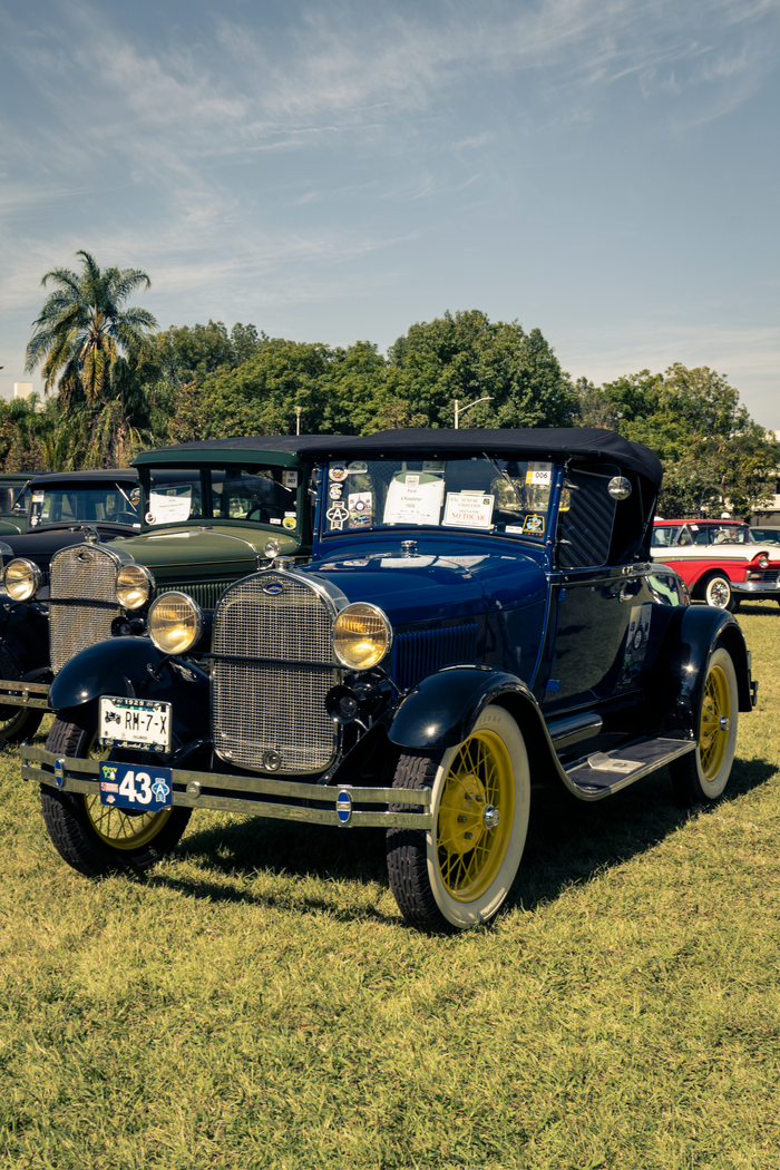 Classic cars showcased in Zapopan, Mexico with a sunny backdrop. Ideal for vintage car enthusiasts.