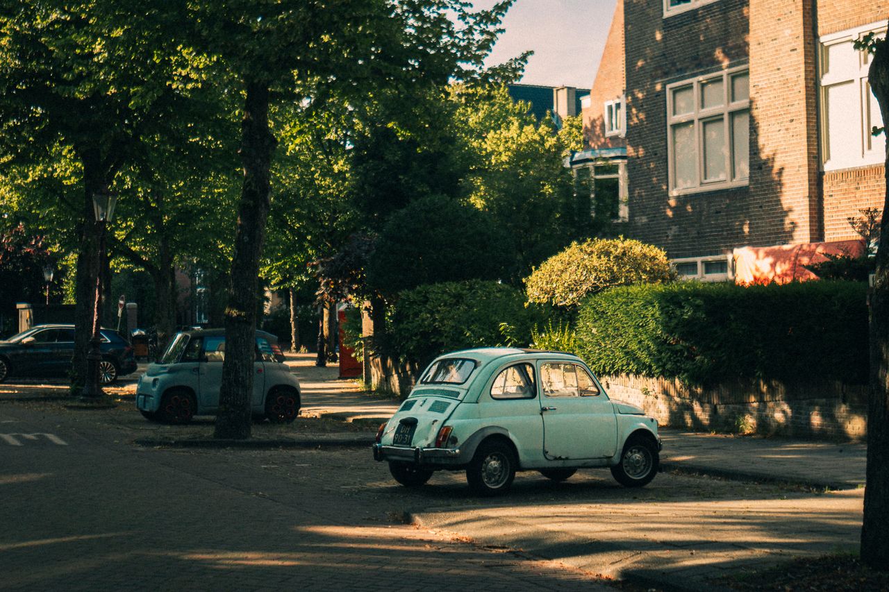 Charming scene of a vintage car parked on a leafy street in Amsterdam during summer.